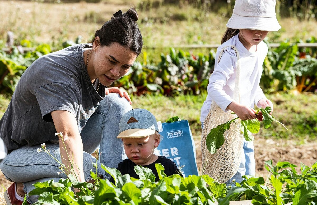 Veggie Picking with the Farmer
