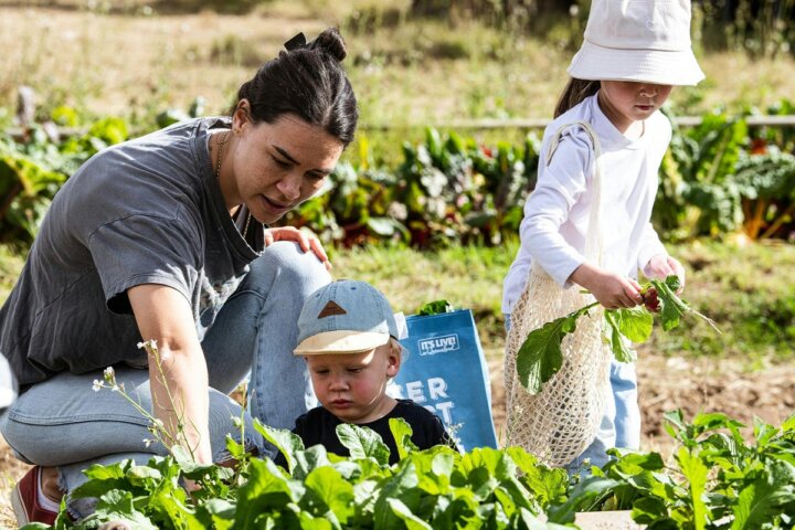 Veggie Picking with the Farmer