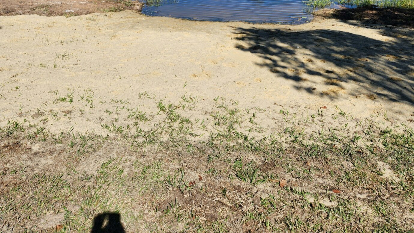 Dam Good Spot