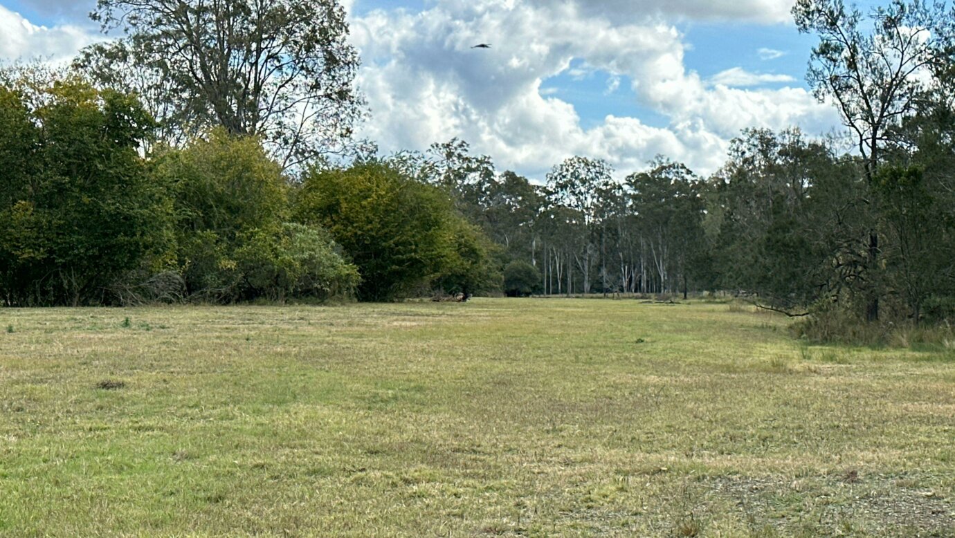 Funny Farm Frazerview