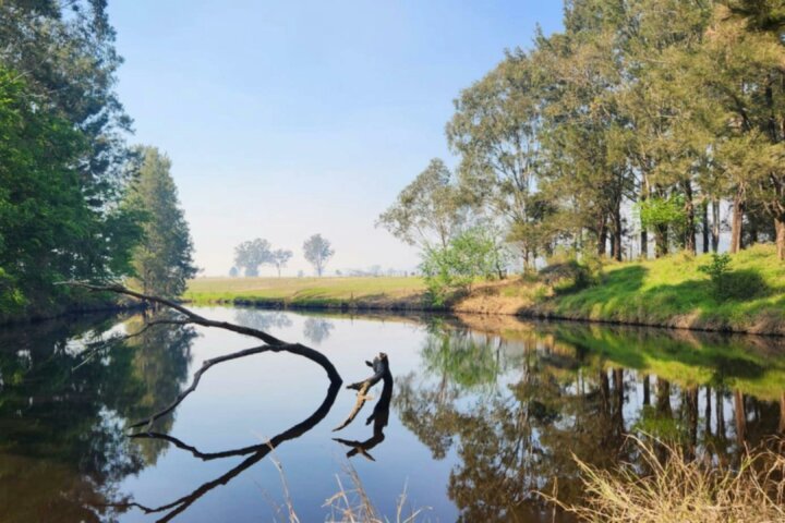 Camp By The Billabong