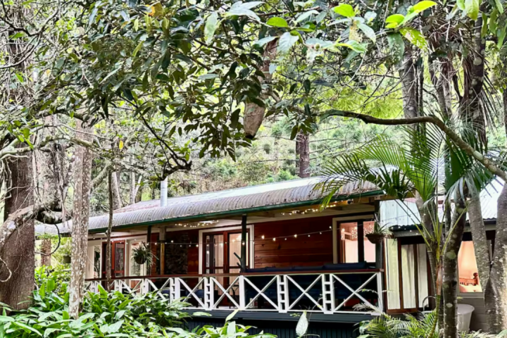 Creekside Rainforest Retreat