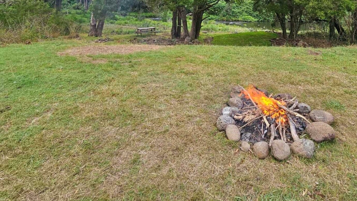 Site 2 campsite