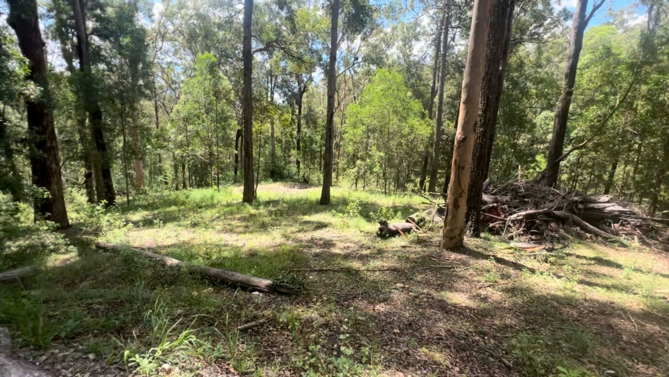 Forest Nook