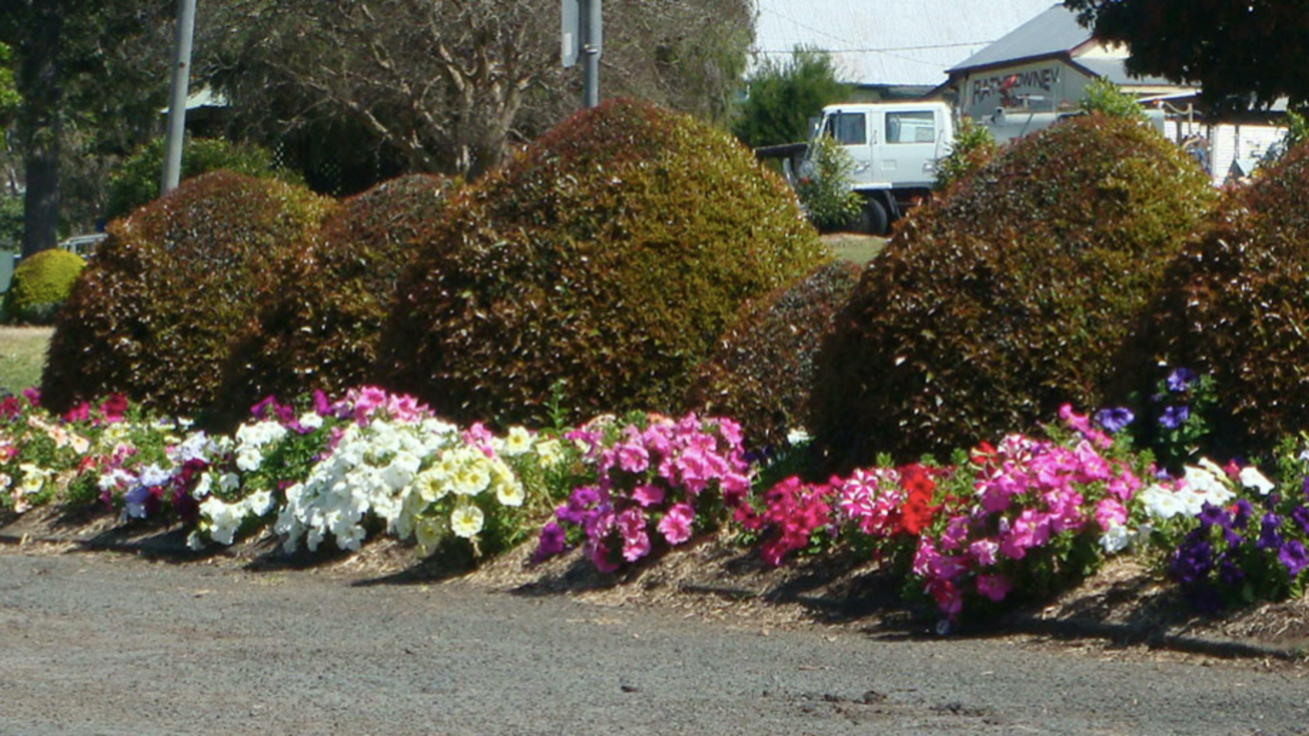 Rathdowney Caravan Park