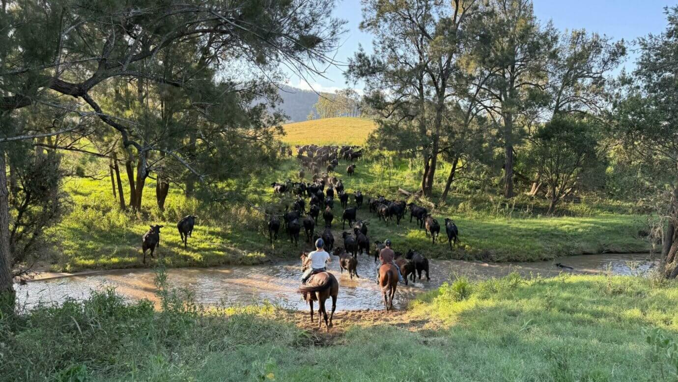 Juburra Country Camping