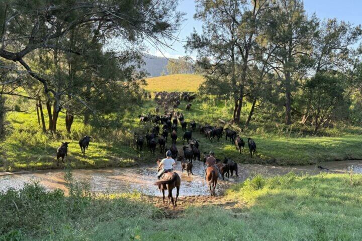 Juburra Country Camping