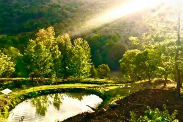 The Bush Clinic, Hinterland Retreat