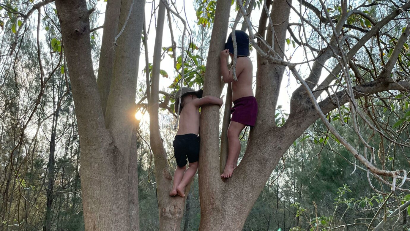 BYO Adventurers 