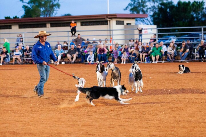 Tom Curtain's Here's to You Tour - Boonah