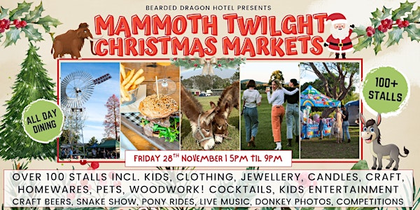 Tamborine's BIGGEST Christmas Twilight Market