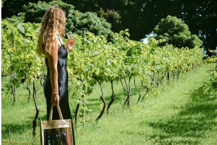 Pineapple Tours to Tamborine Mountain