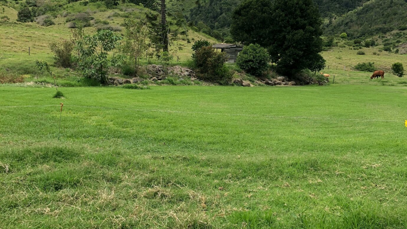 The Old Hut campsite-flat and grassed all year round