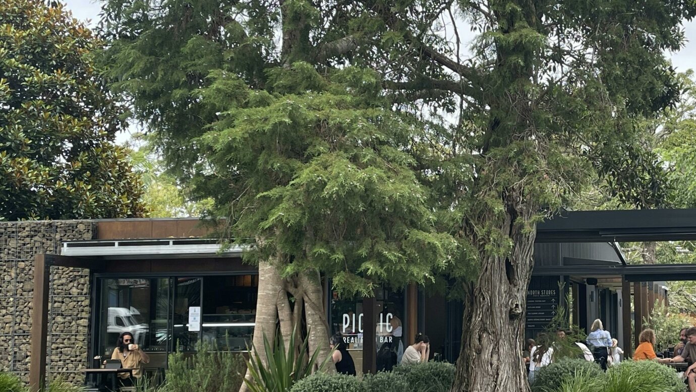 Main Street, Tamborine Mountain