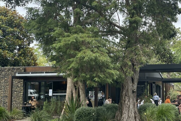 Main Street, Tamborine Mountain