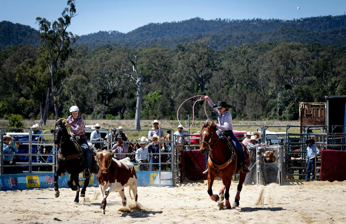 Tamborine Rodeo