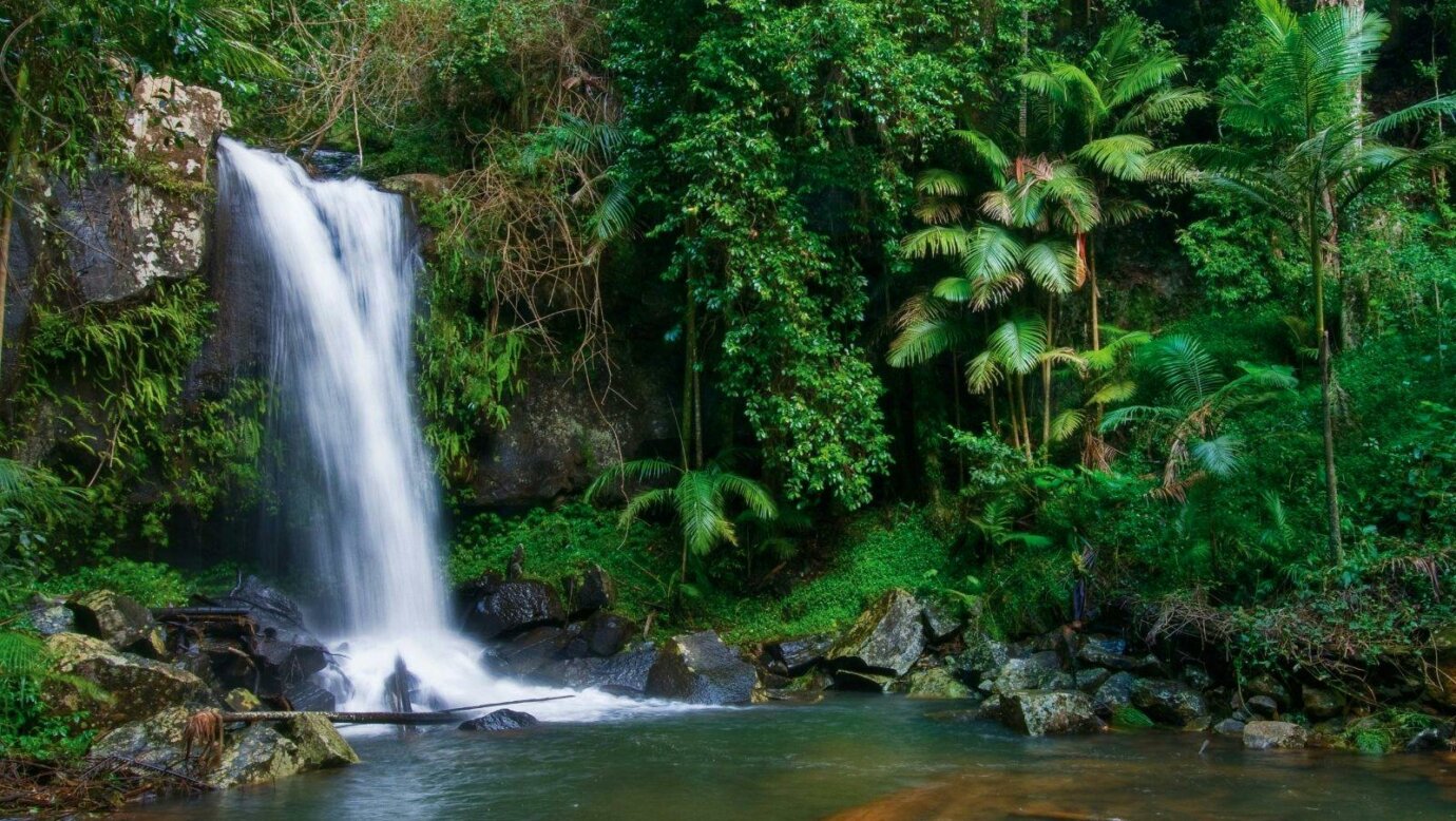 Curtis Falls, Tamborine Mountain, QLD
