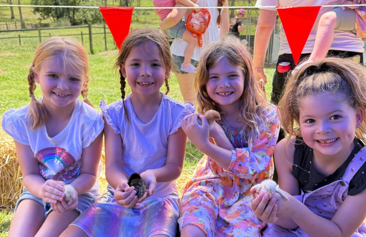 Harrisville Sunday Farm Day