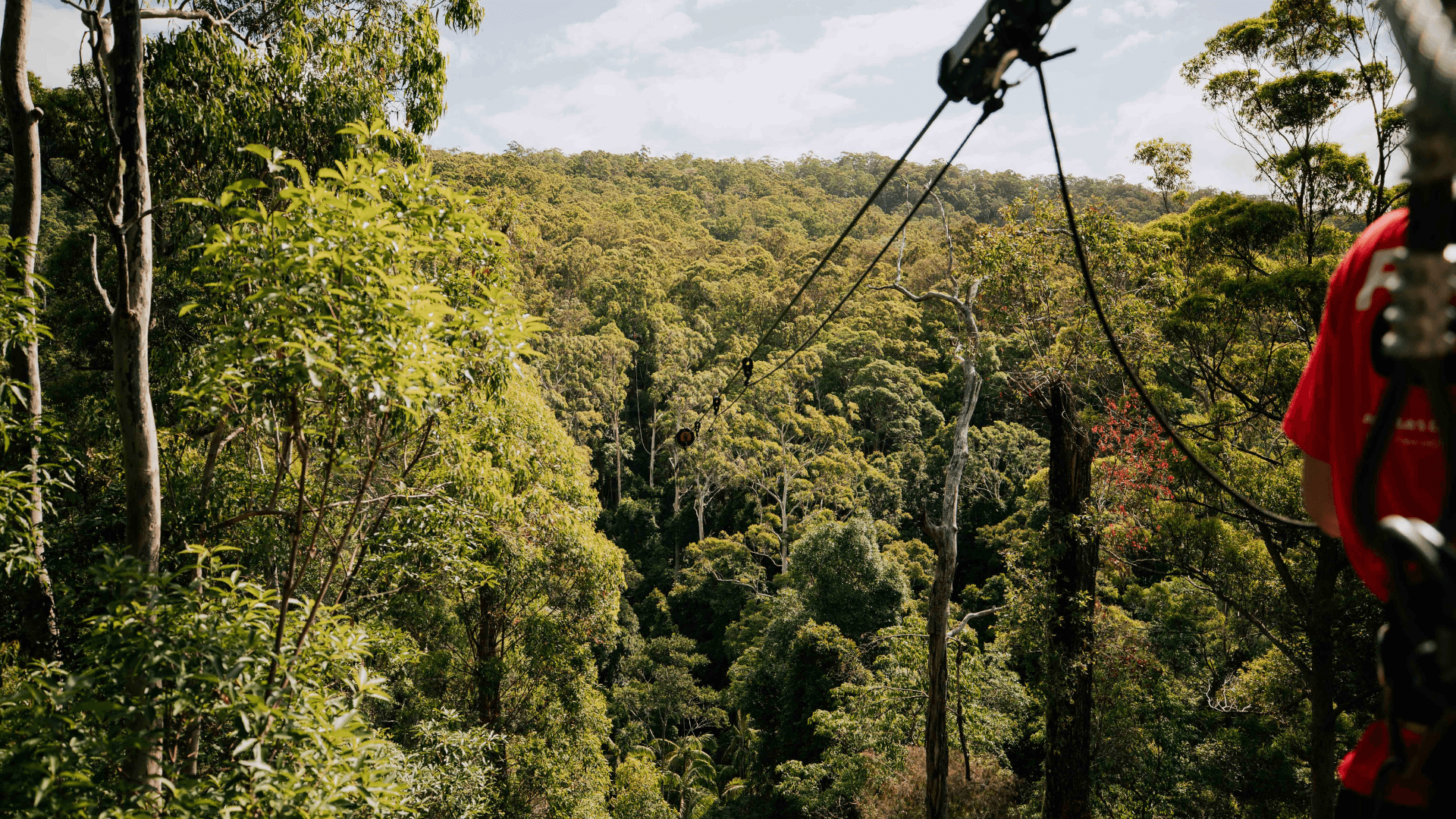 Canyon Flyer Zipline Tour