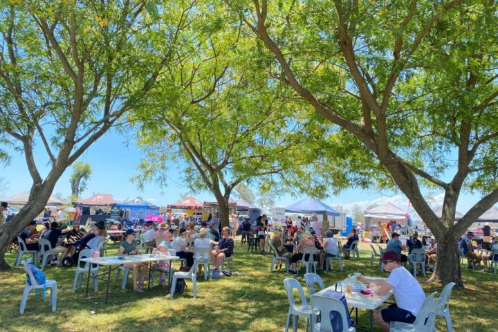 Autumn  Markets - Summer Land Camels