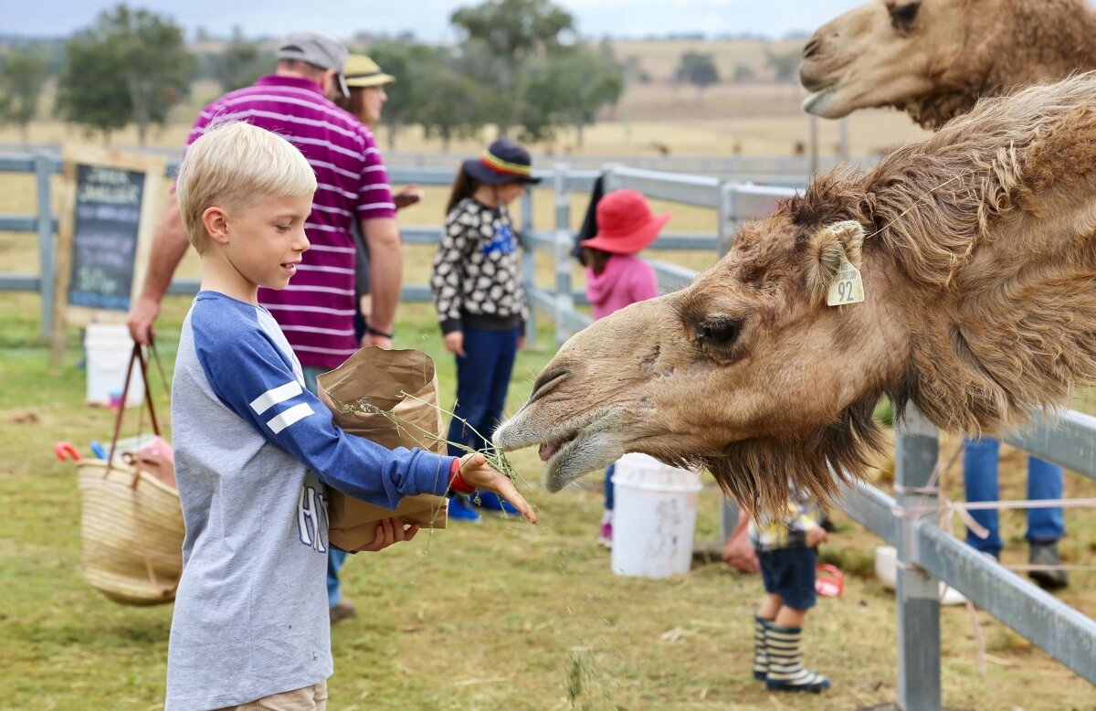 Little Farmer Humpty Day - Kids Event