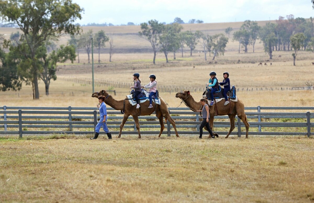 Little Farmer Humpty Day - Kids Event