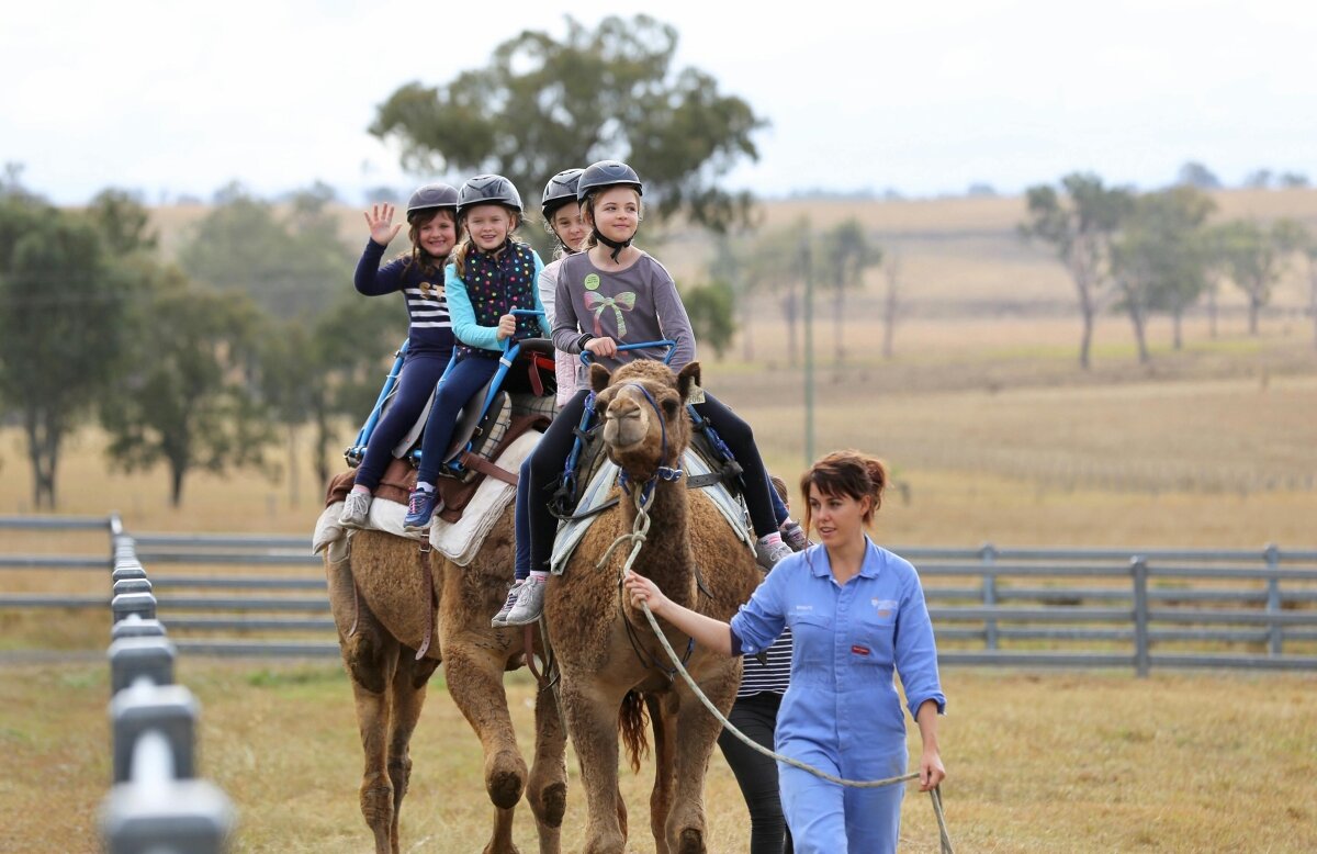 Little Farmer Humpty Day - Kids Event