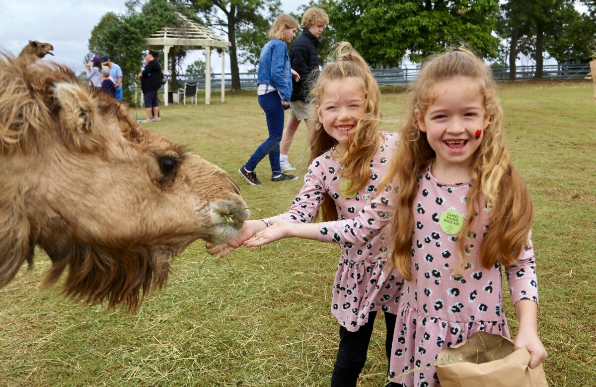 Little Farmer Humpty Day - Kids Event