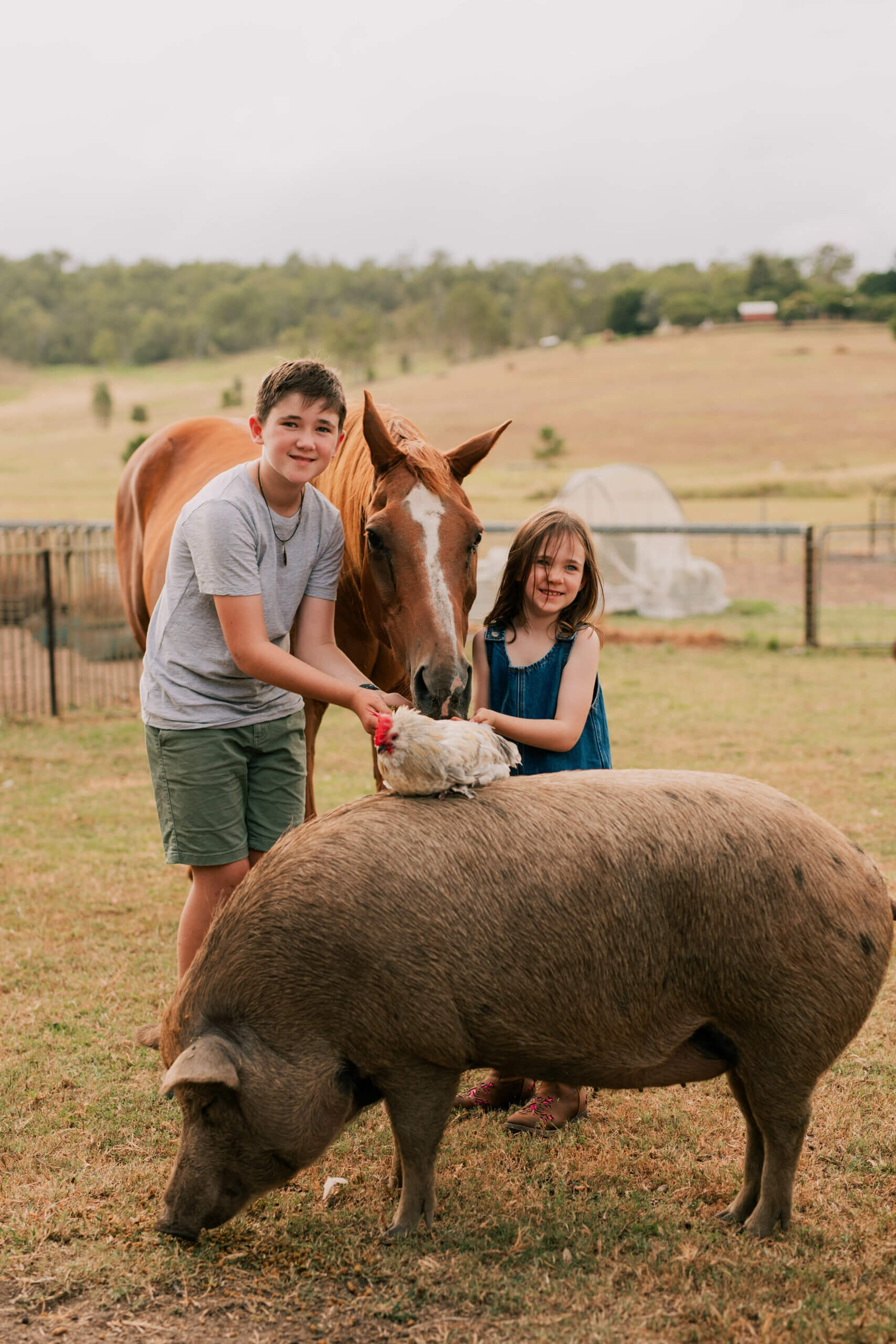Clandulla Cottages and Farmstay just outside of Canungra