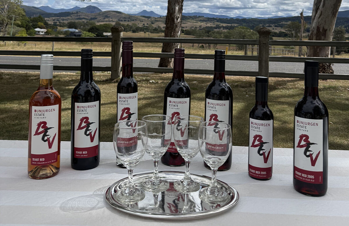 Chocolate, Cheese and Wine in the Vineyard