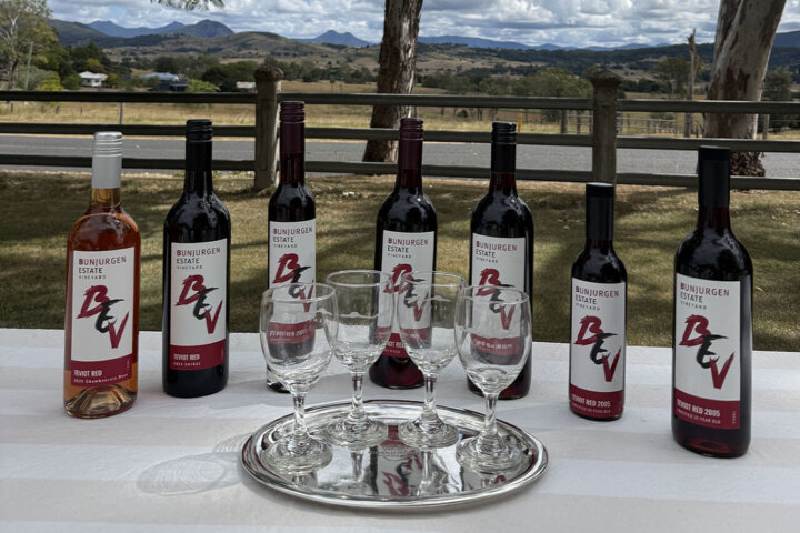 Chocolate, Cheese and Wine in the Vineyard