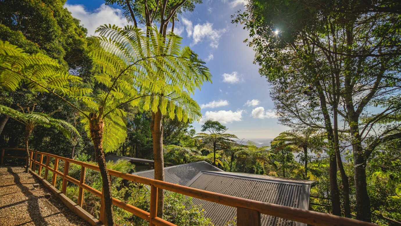 Image shows the views from the Safari Tent