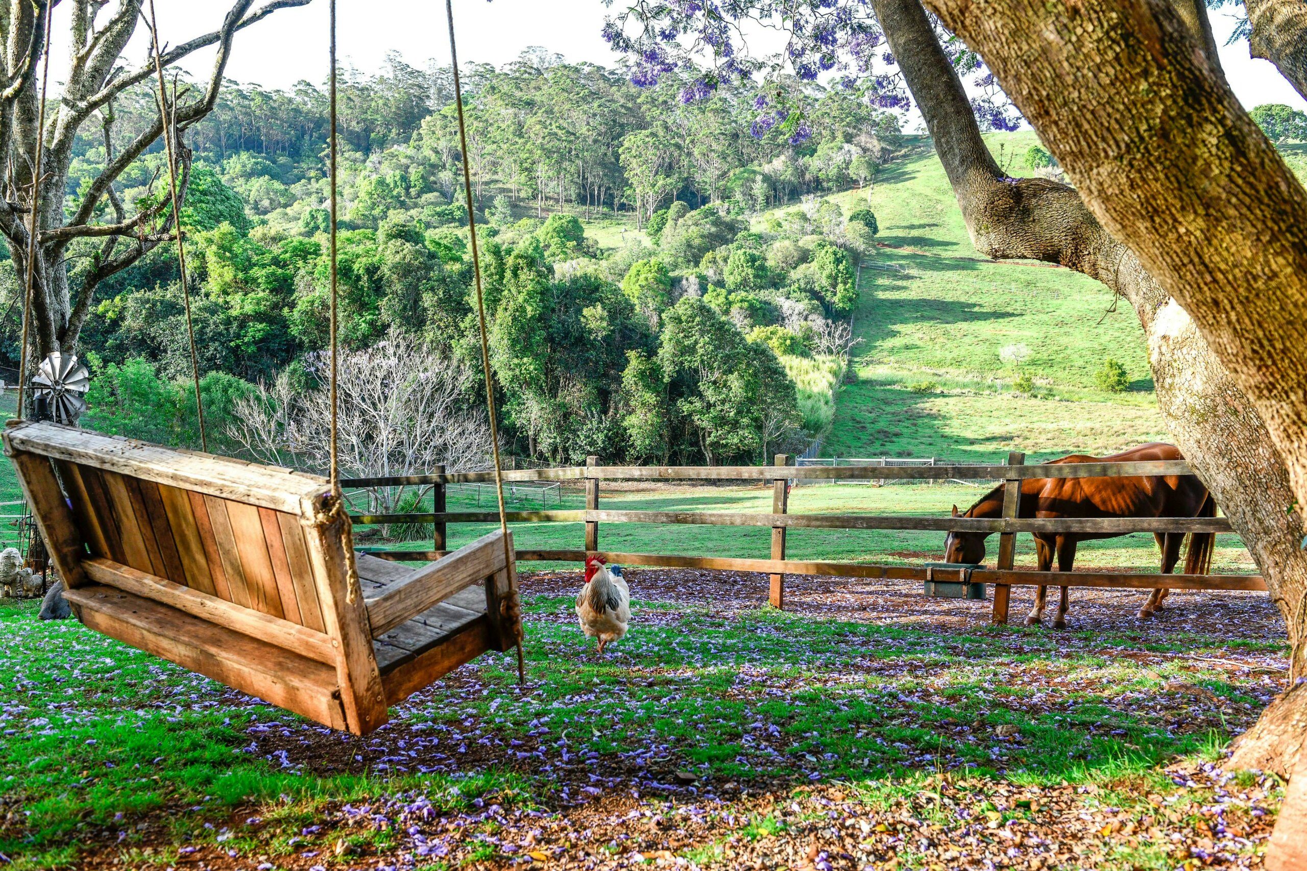 Relax on the swing and watch the horses