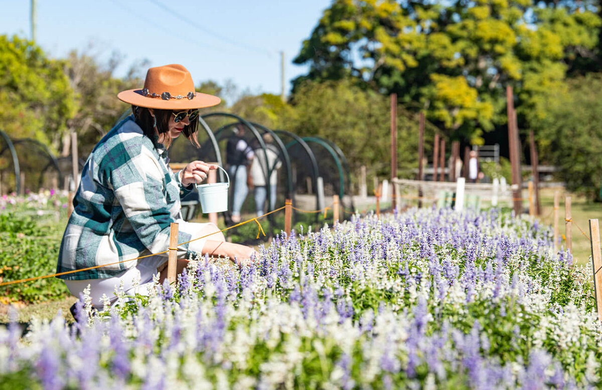 Edible Flower Picking and Cupcake Decorating