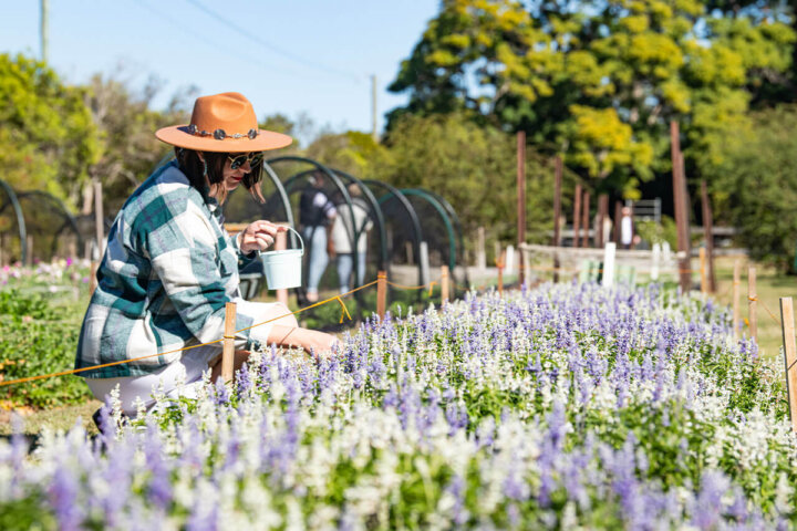 Edible Flower Picking and Cupcake Decorating