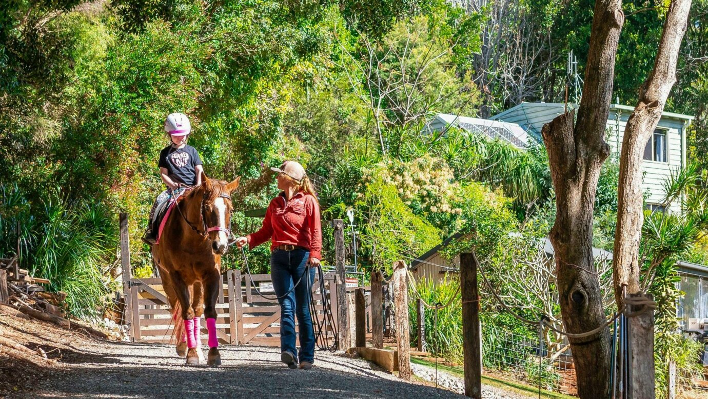 Visit the horses