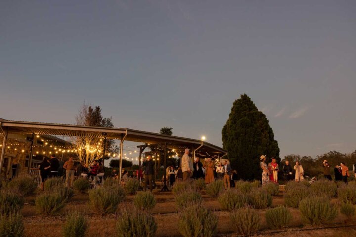 Winter Harvest Dinner