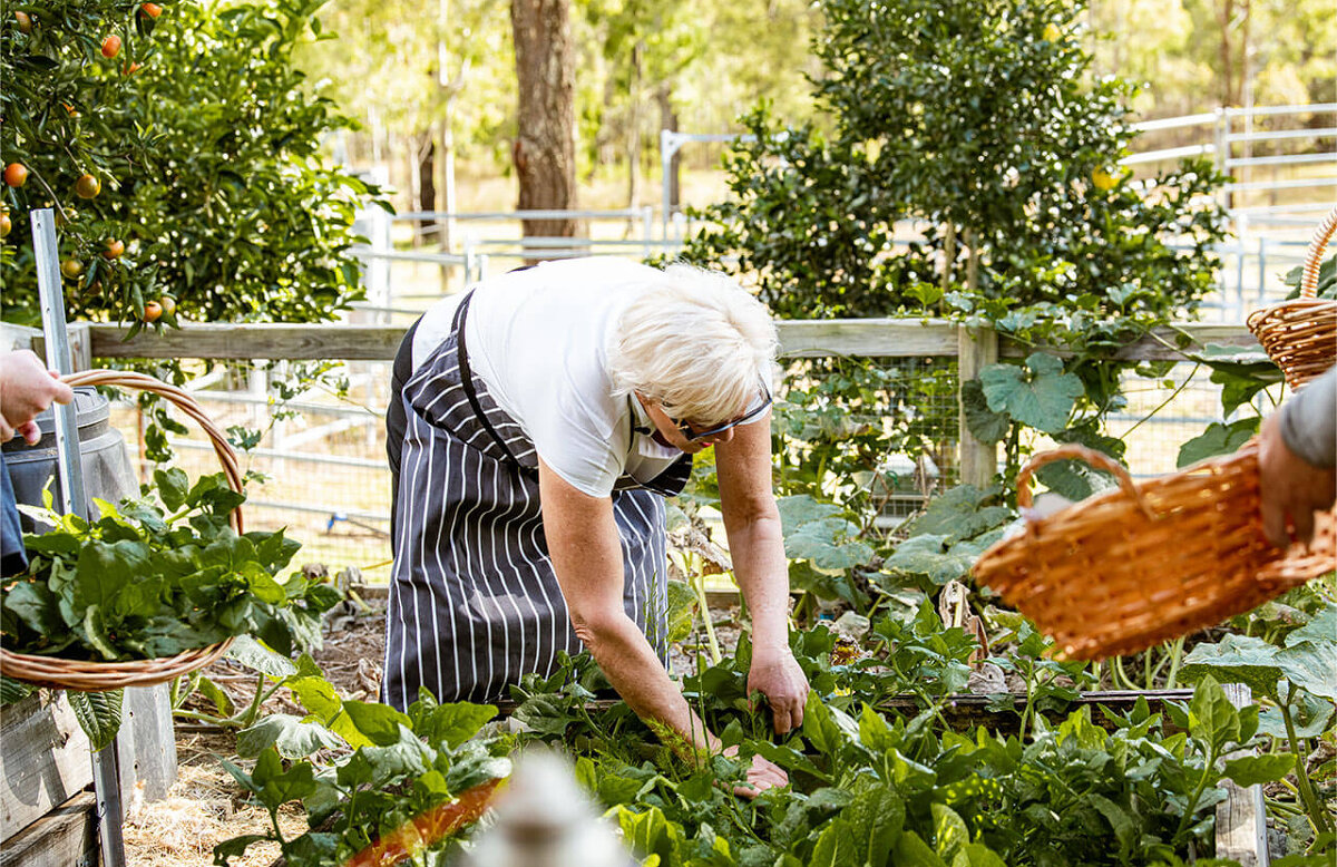 Hidden Harvest: A Garden-Led Culinary Journey