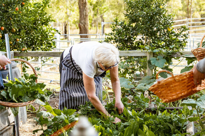 Hidden Harvest: A Garden-Led Culinary Journey