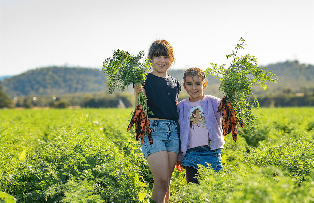 Kalfresh Carrot Day
