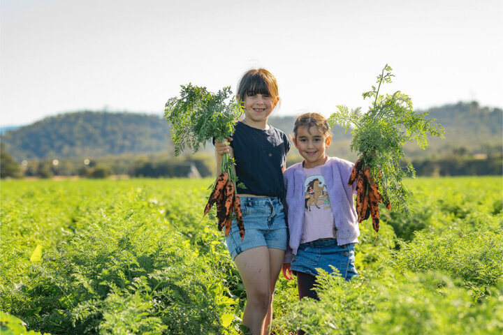 Kalfresh Carrot Day