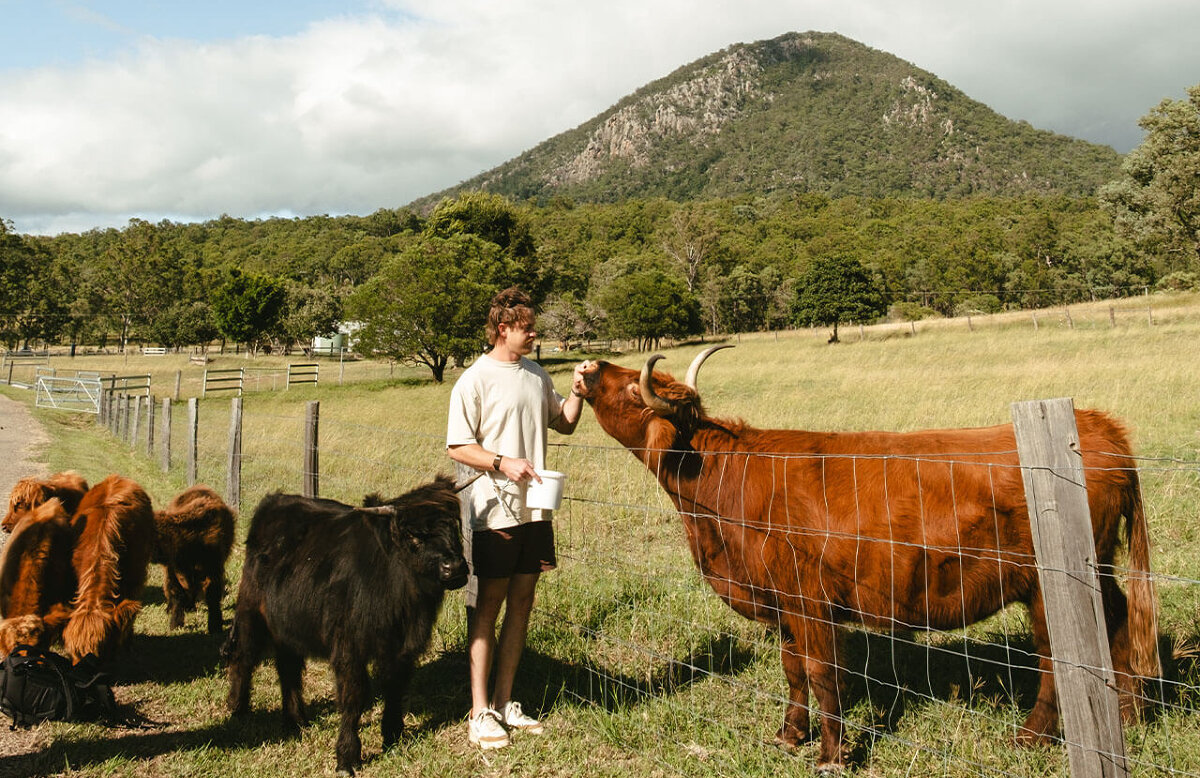 Highlands Farm Experience and Lunch