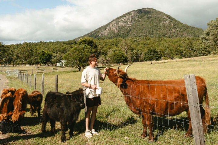 Highlands Farm Experience and Lunch