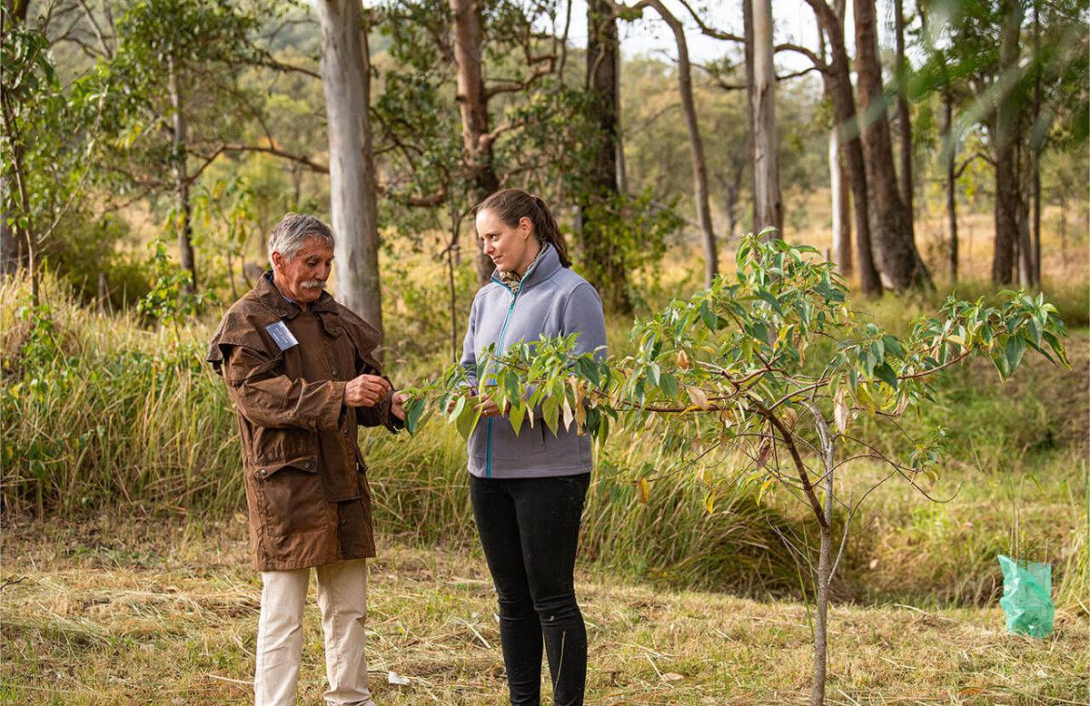 Native Rainforest Orchard Trek and Taste