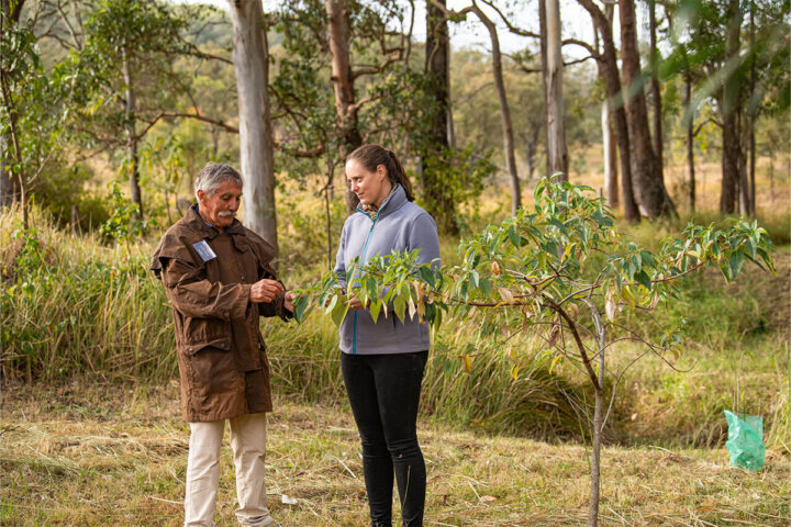 Native Rainforest Orchard Trek and Taste