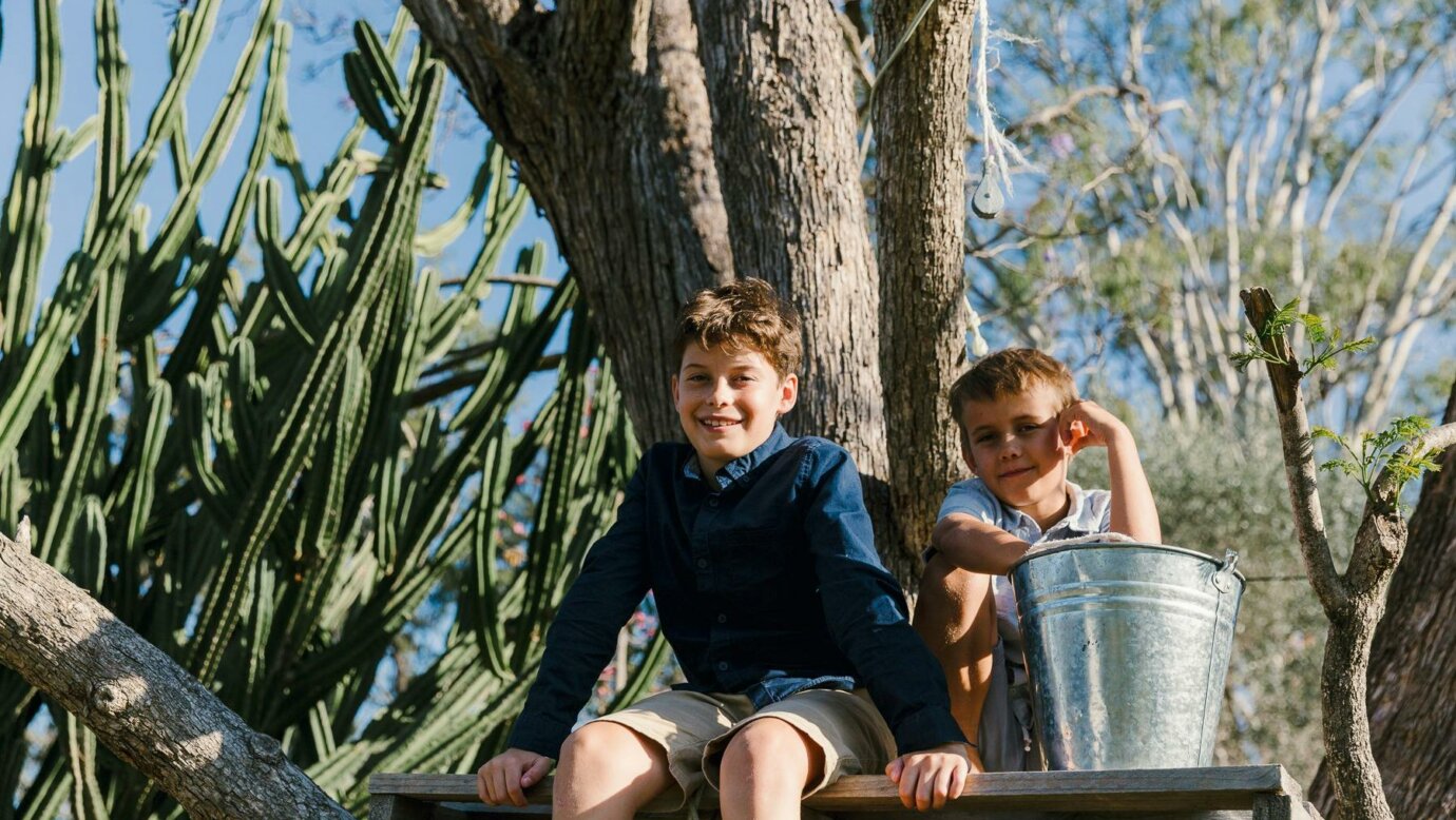Tree house