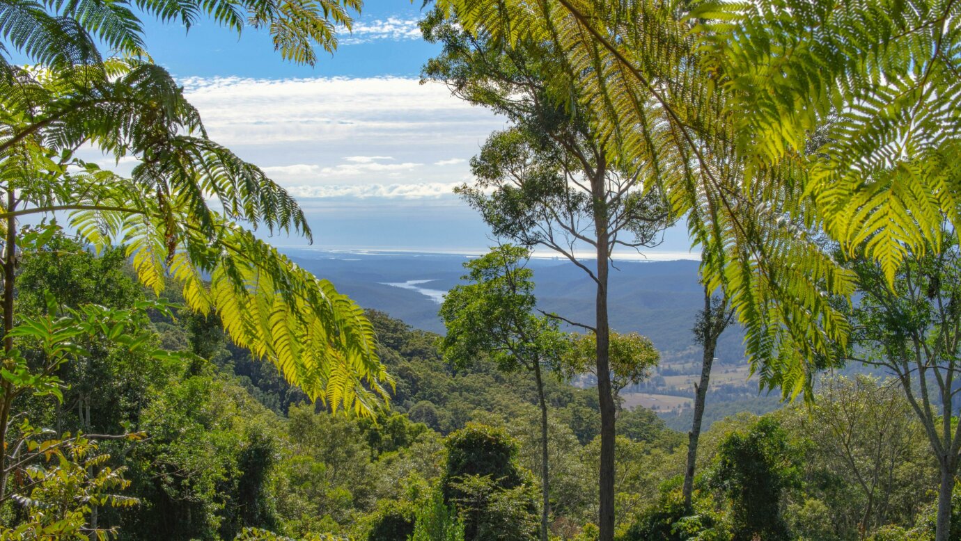 Image shows the views of the valley from the Safari Tents
