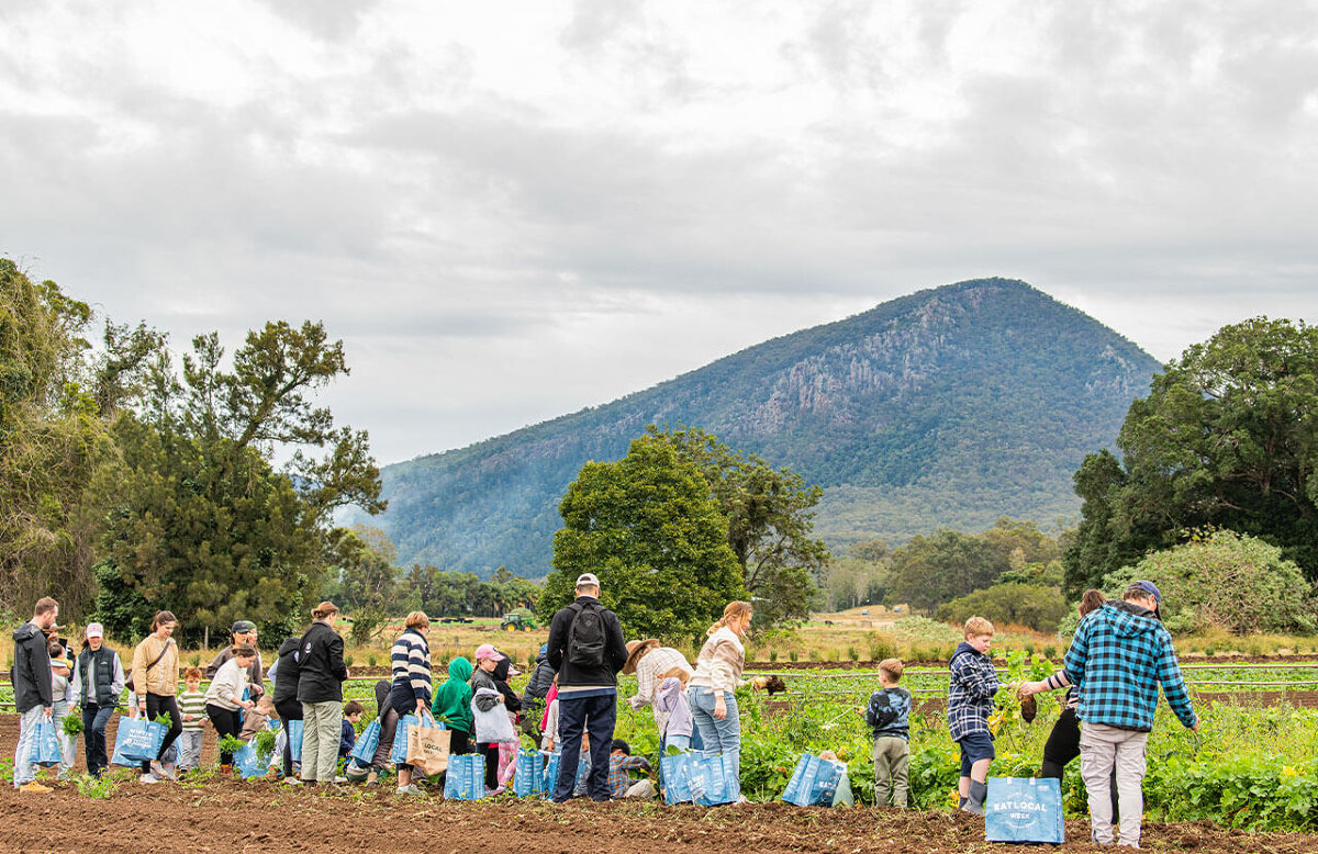 Veggie Picking with the Farmer