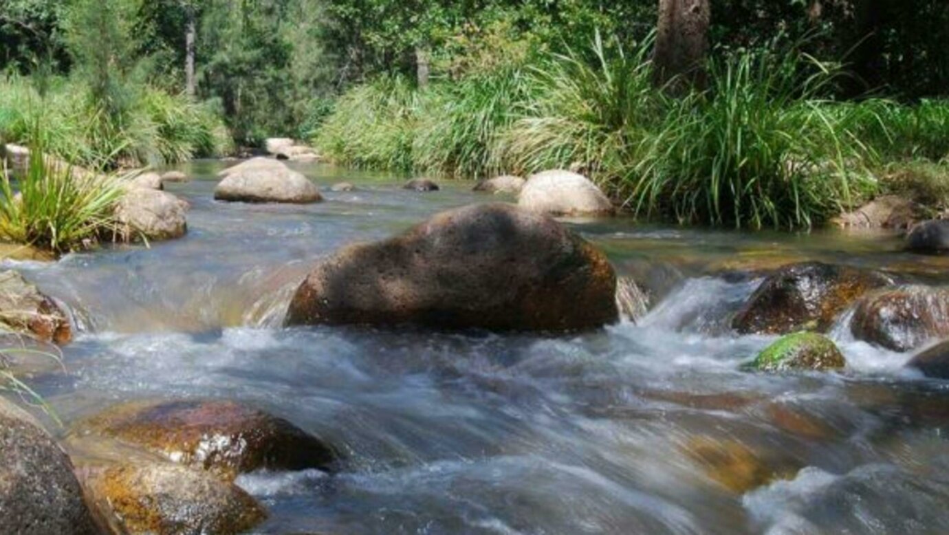 Mt Barney Lodge