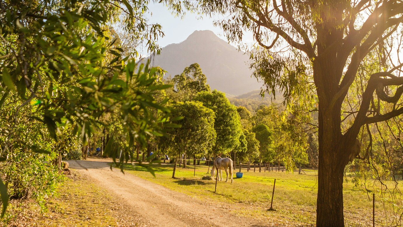 Mt Barney Lodge